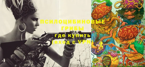 2c-b Кинешма