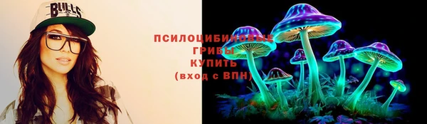 ECSTASY Каменск-Шахтинский