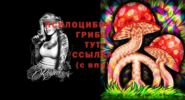 эйфоретик Касимов