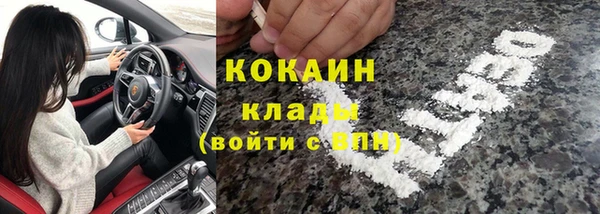 PSILOCYBIN Иннополис