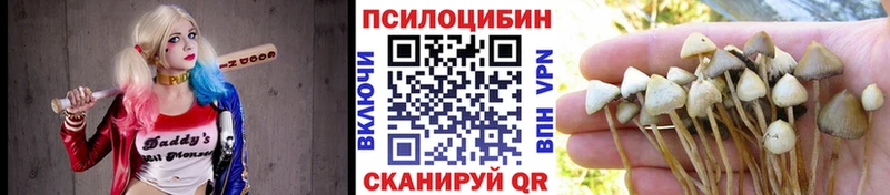 Купить где  Полесск  Галлюциногенные грибы Magic Shrooms 