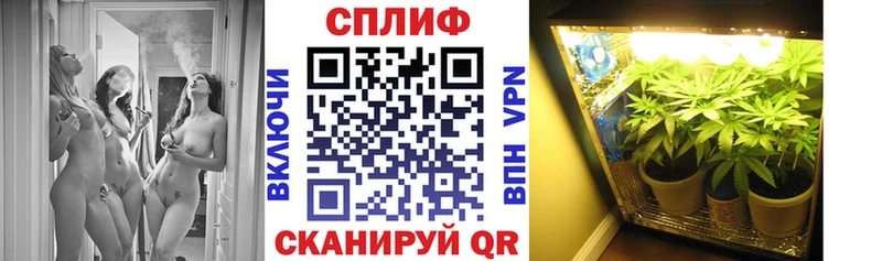 Купить закладки  Полесск  Бошки Шишки MAZAR 